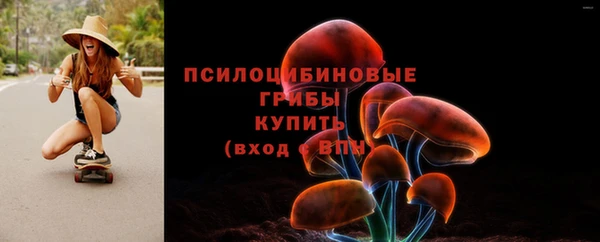мдпв Медногорск