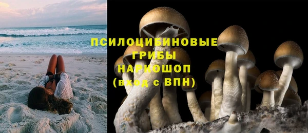 прущая мука Мегион