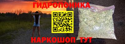 амф Новокубанск